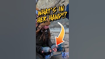 CRAZY Fossils Found at the Calvert Cliffs!