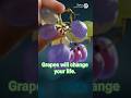 Grapes will change your life #motivation #motivationpsychology  #shorts