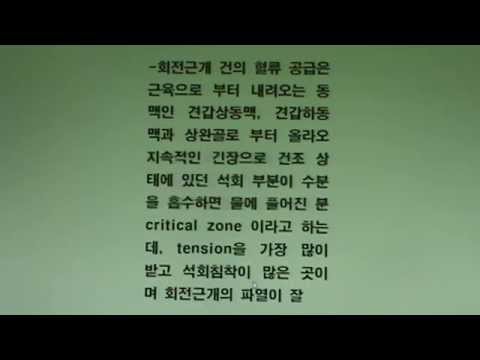 석회침착과 어깨통증- 분당 비수술 어깨통증전문 정형외과