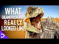 What Did Giganotosaurus REALLY Look Like?! - Jurassic World: Dominion