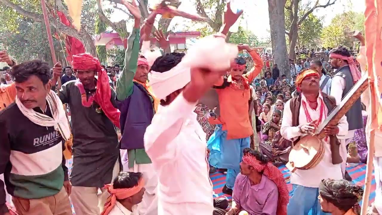   देसी वीणा देसी  भजन पीला झेड़ा वाली रे  विराट हिंदू सम्मेलन नयावास 