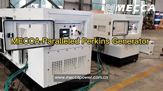 MECCA POWER Parallel Perkins Diesel Generator with ATS Cabinet