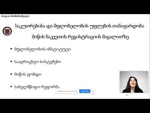 სოფიო ბარნაბიშვილი - თეზისი 3 წუთში