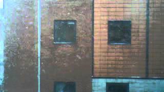 VID-20130205-00006