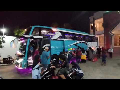 MJA: Mengurai Kisah Sukses dan Tantangan Bisnis Bus Pariwisata di Indonesia