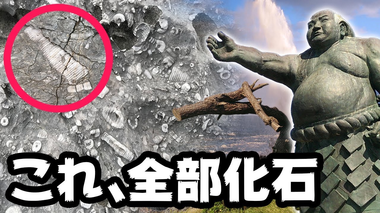 200 million years ago] I visited Kesennuma tourist spot where a