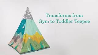 Infantino Infant To Toddler Play Gym & Fun Teepee