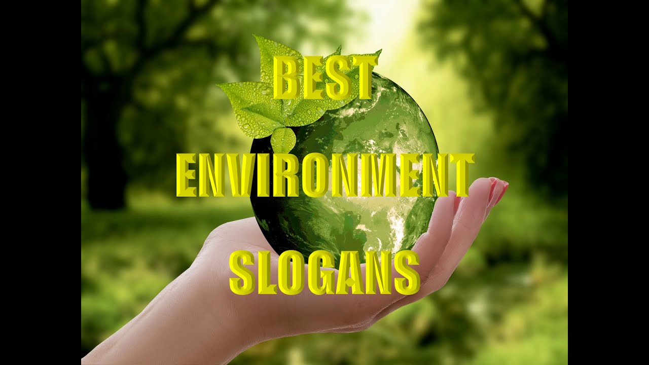 6. World Environment day 2020 Theme