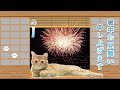 暑中お見舞い(残暑お見舞い)申し上げる茶トラ猫つくね【動画】