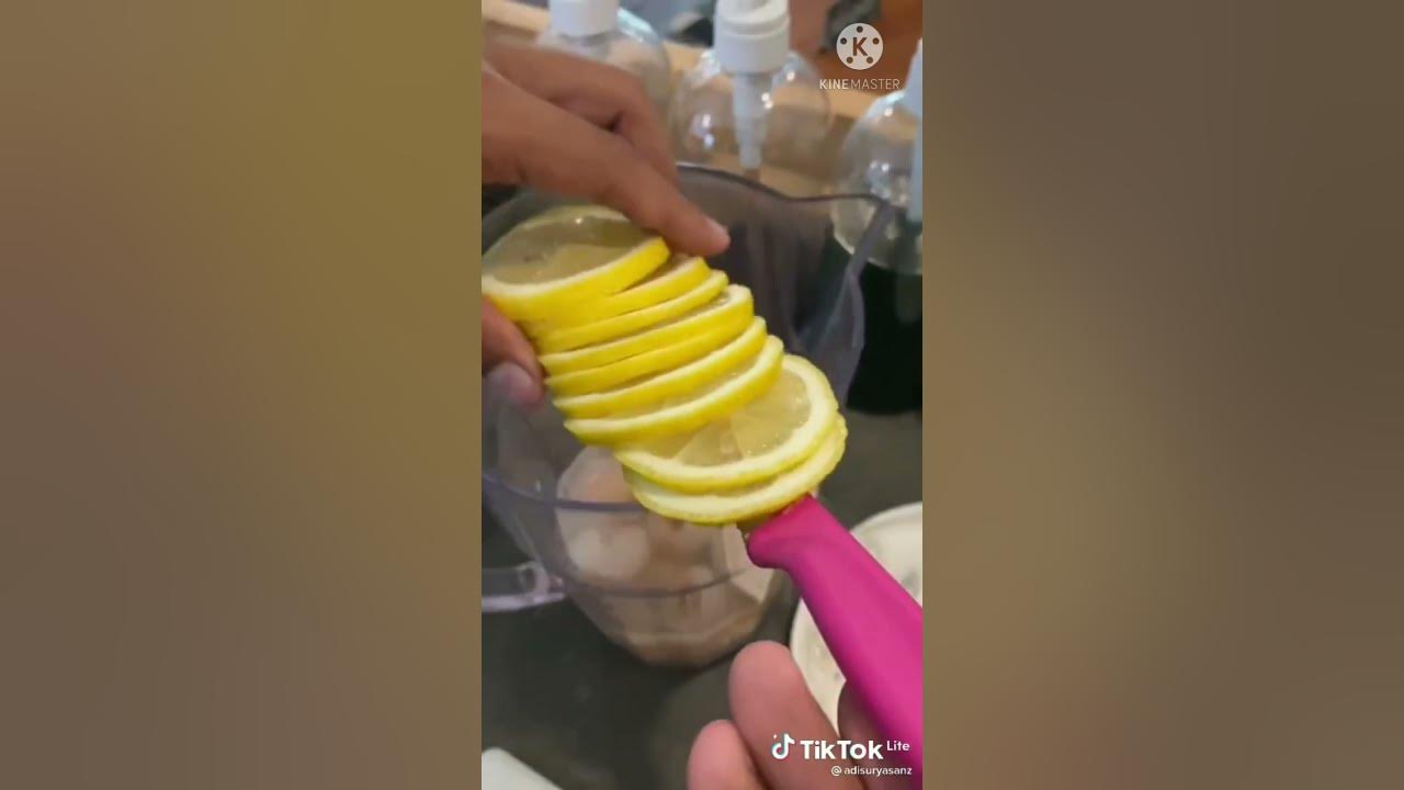 CARA MEMBUAT ES LECI LEMON SEGAR