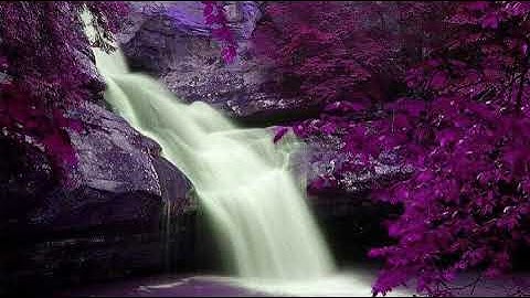 060   سورة الممتحنة ترتيل للشيخ محمد صديق المنشاوي