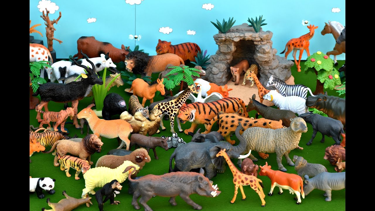 Zoo animals videos