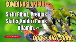 Suara Pikat Burcil II Sogon, Korlap,Kamande, Sirtu,Prenjak Stater Terbaru 2026 Paling Ampuh.