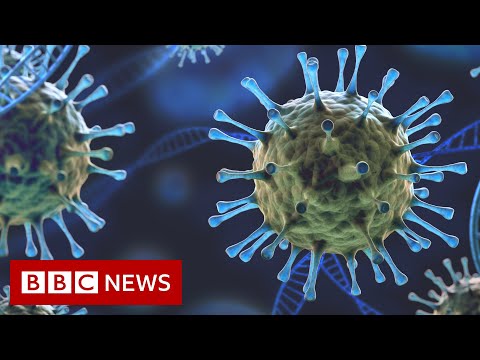 Video: Coronavirus, Grenssituatie En Persoonlijke Grenzen