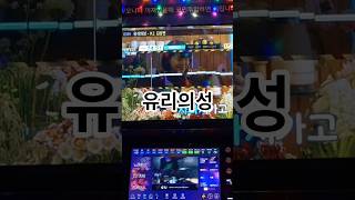 86점짜리 커버(유리의성-K2) #cover #노래방 #코노 #코인노래방 #singing #노래  #커버 #유리의성 #K2 #락발라드 #vlog #shorts #일반인커버#song