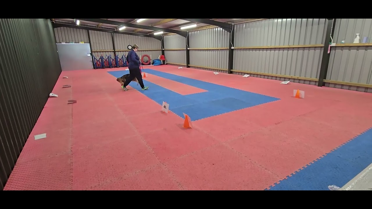 RallyOnline Lv1 Sasha (Wonkru The Legit Boss) & Shannon no.1696