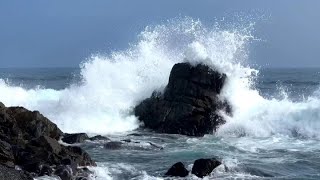 THE WILD SURF OF PACIFIC