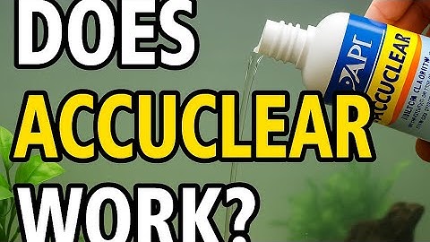 Does Accuclear work? Timelapse