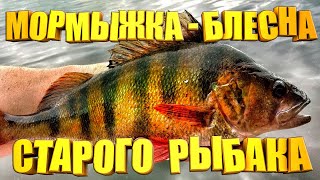 Эта самодельная Мормышка-Блесна сводит окуня с ума. Снасть проверенная годами. Просто ТОП по окуню.