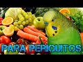 Frutas y Verduras que pueden Comer los Periquitos-Rincon animal