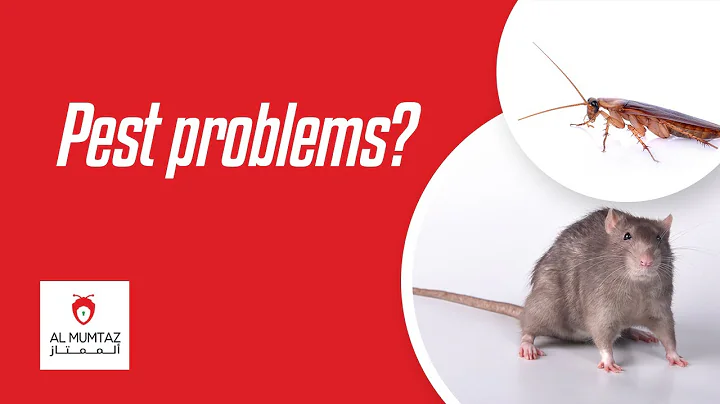 Pest control service in Dubai & Sharjah | Disinfection & Cleaning | AL-Mumtaz Pest control services