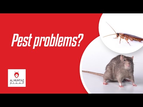 Pest control service