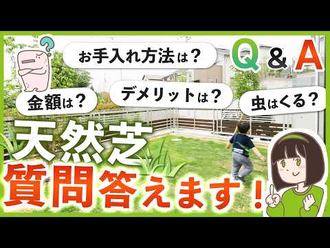 プロも愛用する芝生管理の必需品7選!これで完璧な緑の絨毯を