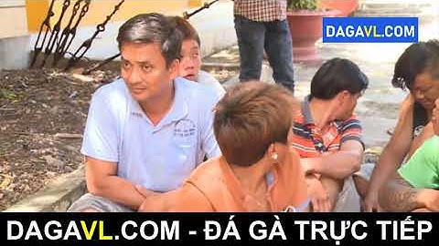 DAGAVL COM   Bắt 10 đối tượng đá gà ăn tiền tại Thạnh Phú, đá gà trực tiếp.