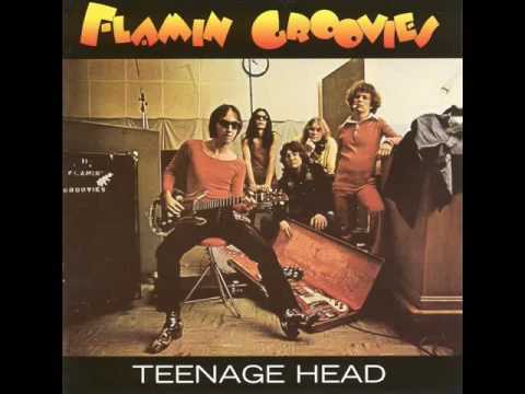 Flamin' Groovies   Heading For the Texas Border