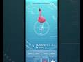 First Ever New Flamigo Spawn in #pokémongo #garchomp