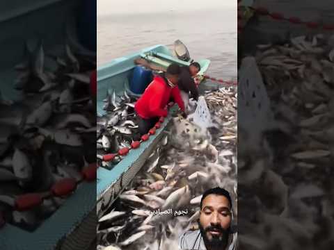 سبحان الله لوعجبك الفديوا لاتنسوا الاشتراك في القناة وتفعيل الجرس 