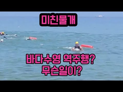 바다수영 역주행.미친물개 오리발 실종사건 바다수영초보자 꼭보세요.