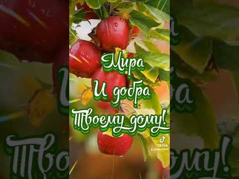 Поздравляю! Вас #яблочным #спасом!