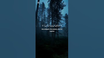 القرآن الكريم عامر الكاظمي سورة الإنسان راحه نفسيه ❤️‍🩹✨#
