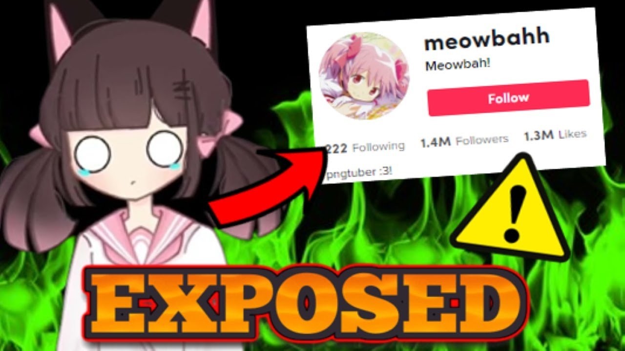 Meowbahh got exposed...