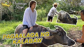 (PSs2) 11th Ep. Pag Aalaga ng Kalabaw! | Wilbert Ross