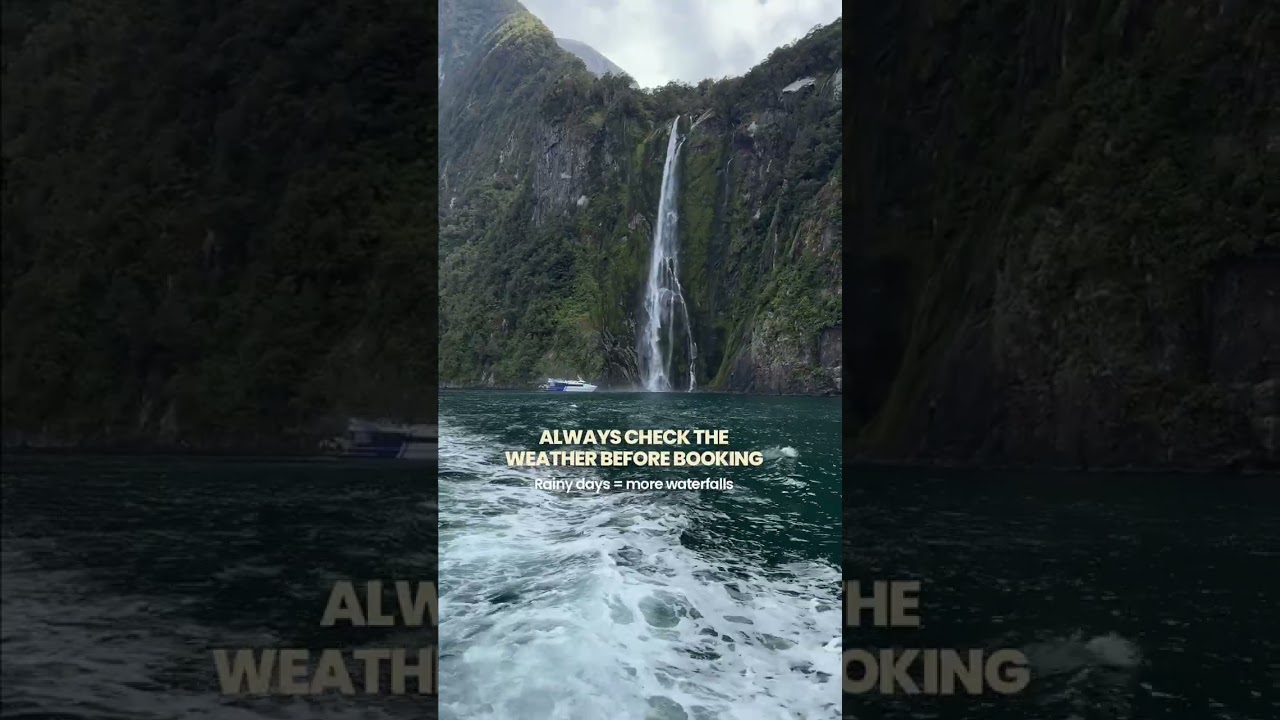 How to visit Milford Sound without overpaying 💸