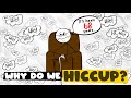 Why Do We Hiccup? (And How the Heck Do You STOP!?) 🤯🤣 #HiccupMystery #hiccup