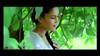 Video thumbnail of "Chayechha Basanta(shreya ghoshal's nepali songs"