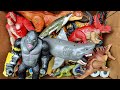 Hunting Dinosaurs Jurassic World Dominion: T-Rex/Brachiosaurus/Mosasaurus/Distortus Rex/Velocirapor