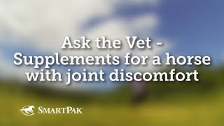 Ask the Vet - Supplements for a horse with joint discomfort