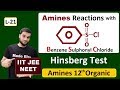 (L-21) Hinberg Reagent || Amines Reaction with Arylsulphonyl Chloride || Test of Amines || JEE NEET