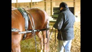Driving Tips, Hitching Up
