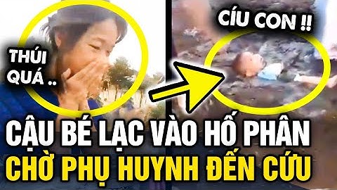Nghỉ hè VỀ QUÊ CHƠI, búp măng non LẠC VÀO HỐ PHÂN nằm im chờ bà đến cứu | Tin 3 Phút