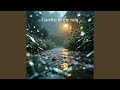 Garden in the Rain(雨中庭院)