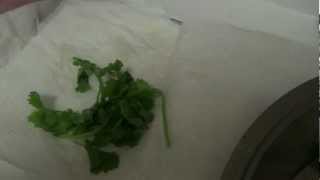 Method To Store Coriander Leaves