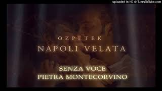 Pietra Montecorvino - Senza Voce (Official Soundtrack Napoli Velata - Ferzan Ozpetek) chords