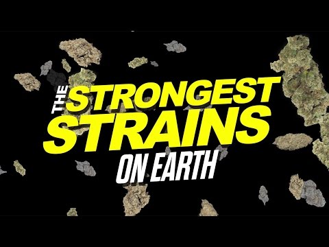 2015 Strongest Strains On Earth