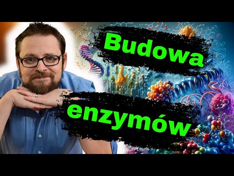 Wideo: Jak enzymy działają jako katalizatory?