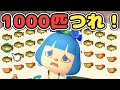 【終われません】サカナを1000匹釣って全部売ってみた【あつ森ゆっくり実況】